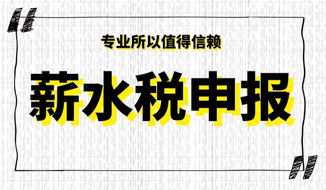 薪水税申报